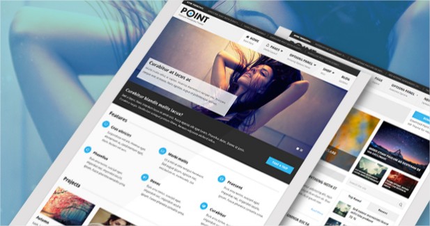 PointPro - Stunning Look & Optimized WordPress theme