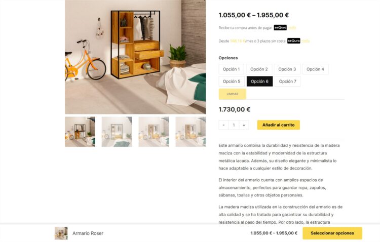 astra pro woocommerce
