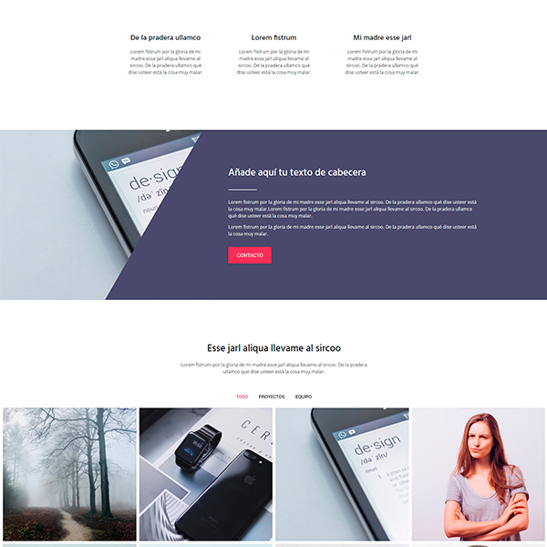 plantilla-elementor-servicios